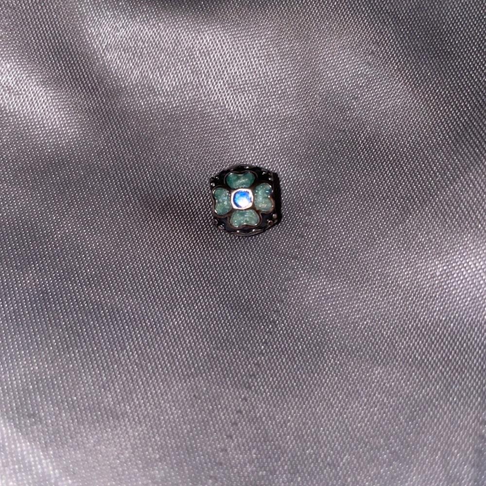 Pandora charm